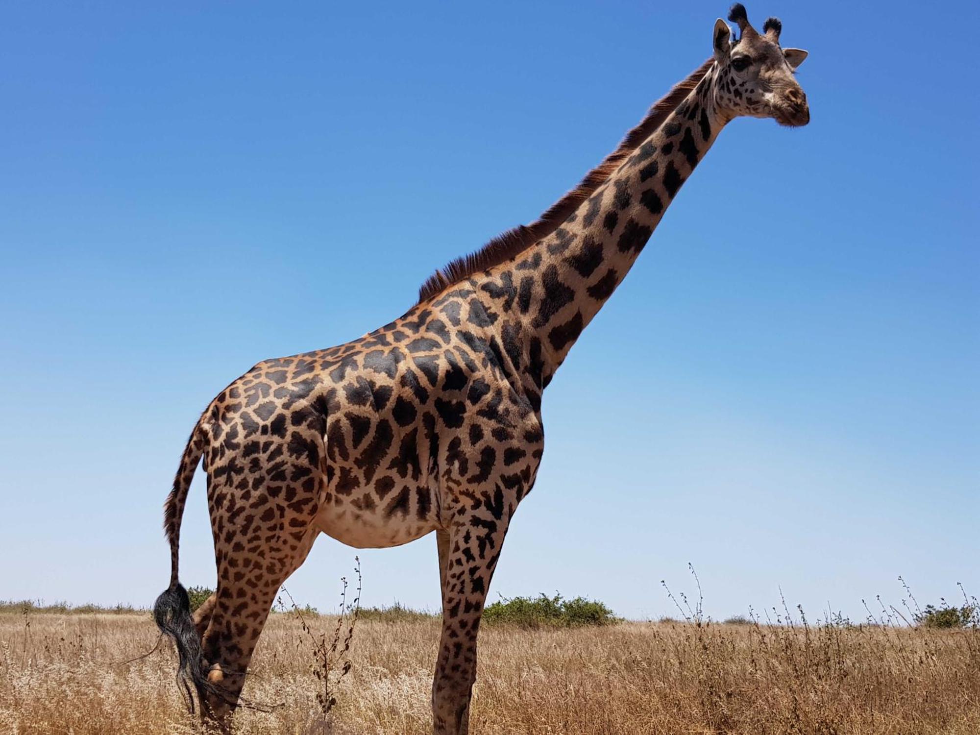 Teresita Home Jkia Nairobi Zewnętrze zdjęcie